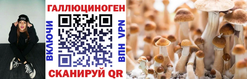 Псилоцибиновые грибы мухоморы Элиста